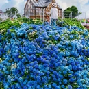 海宁国际花卉城游客中心 - 嘉兴市旅游 缩略图 2
