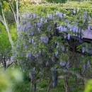 温榆河公园来广营园区-北门 - 北京市旅游 缩略图 8