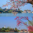 蜀冈瘦西湖风景名胜区 - 扬州市旅游 缩略图 1
