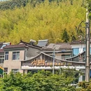 紫藤园天目湖大鱼头(南山竹海店) - 常州市旅游 缩略图 8
