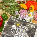 上海植物园 - 上海市旅游 缩略图 3