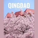 三明南路 - 青岛市旅游 缩略图 1