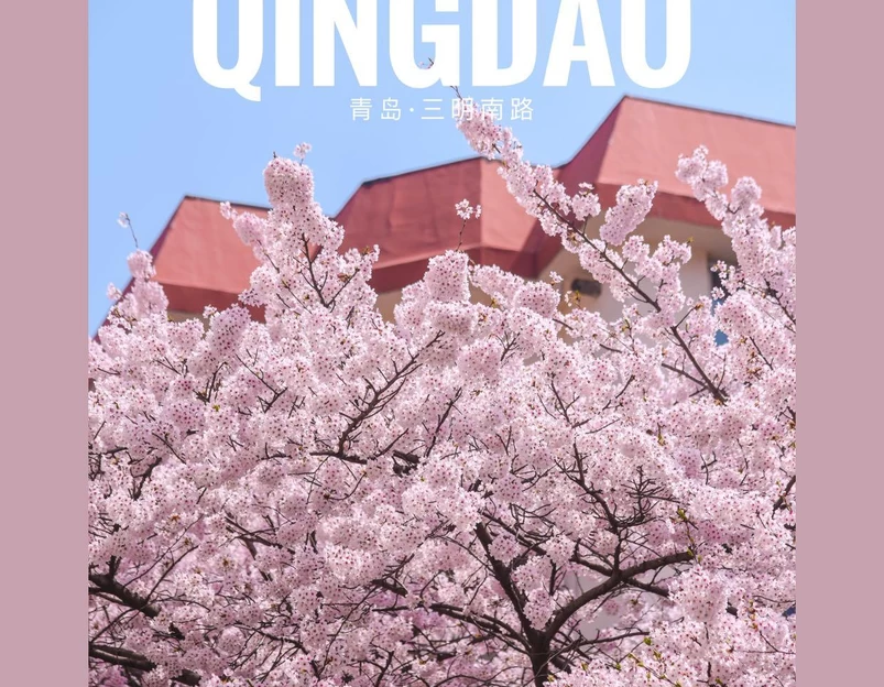 三明南路 - 青岛市旅游 1
