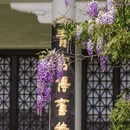 青岛市美术馆 - 青岛市旅游 缩略图 9