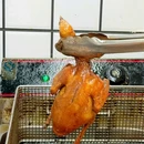 威廉·卡顿酒店(广州永泰地铁站店) - 广州市旅游 缩略图 7