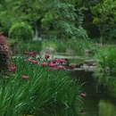 杭州西湖风景名胜区-长桥溪水生态修复公园 - 杭州市旅游 缩略图 1