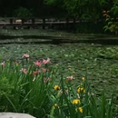 杭州西湖风景名胜区-长桥溪水生态修复公园 - 杭州市旅游 缩略图 9