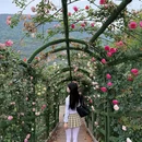 重庆市铜锣花谷生态园 - 重庆旅游 缩略图 6