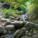 大奇山国家森林公园 - 杭州市旅游 缩略图 2