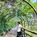 清江画廊风景区 - 宜昌市旅游 缩略图 8