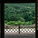 荔林公园 - 深圳市旅游 缩略图 4