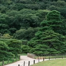 荔林公园 - 深圳市旅游 缩略图 7