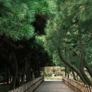 荔林公园 - 深圳市旅游 缩略图 9