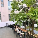 丽江闲云溪月雪山花园庭院 - 丽江市旅游 缩略图 5