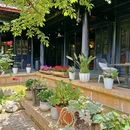 丽江闲云溪月雪山花园庭院 - 丽江市旅游 缩略图 6