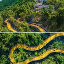 莫干山江南瑶坞旅游度假区 - 湖州市旅游 缩略图 2