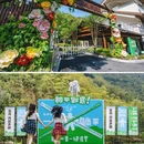 莫干山江南瑶坞旅游度假区 - 湖州市旅游 缩略图 9