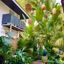 清湄·泰餐厅 - 西双版纳傣族自治州旅游 缩略图 6