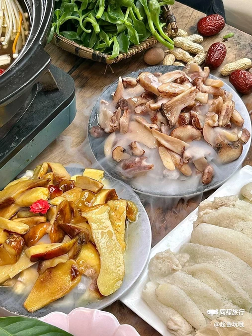 三圣乡彩色油菜花 - 成都市旅游