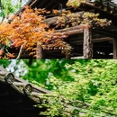 沈园景区 - 绍兴市旅游 缩略图 9