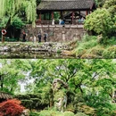 沈园景区 - 绍兴市旅游 缩略图 8