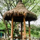 沈园景区 - 绍兴市旅游 缩略图 7