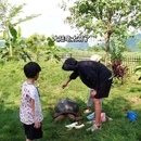 广西崇左秘境丽世度假村 - 崇左市旅游 缩略图 8