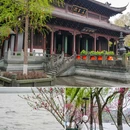 苏堤 - 杭州市旅游 缩略图 3