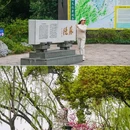 苏堤 - 杭州市旅游 缩略图 2