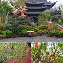 苏堤 - 杭州市旅游 缩略图 4