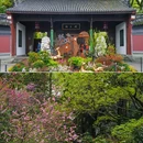 苏堤 - 杭州市旅游 缩略图 5
