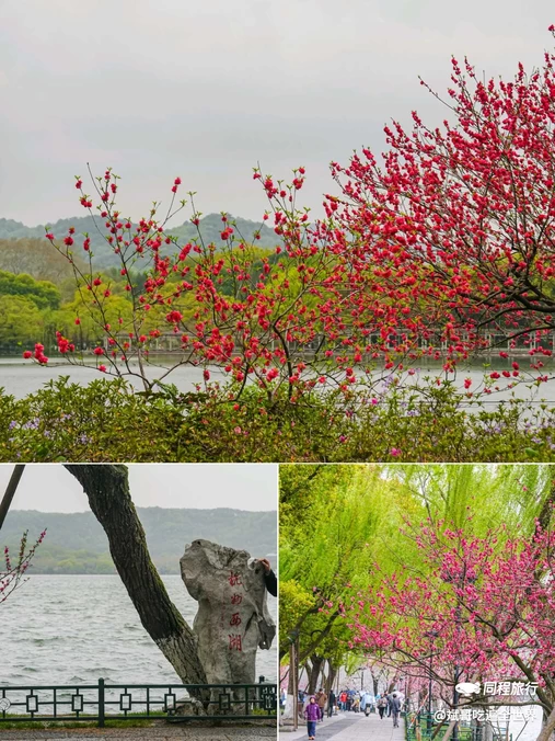 苏堤 - 杭州市旅游