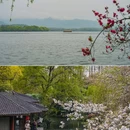 苏堤 - 杭州市旅游 缩略图 6