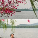 苏堤 - 杭州市旅游 缩略图 7