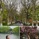 苏堤 - 杭州市旅游 缩略图 9