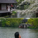 苏堤 - 杭州市旅游 缩略图 3
