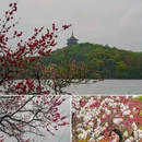 苏堤 - 杭州市旅游 缩略图 1