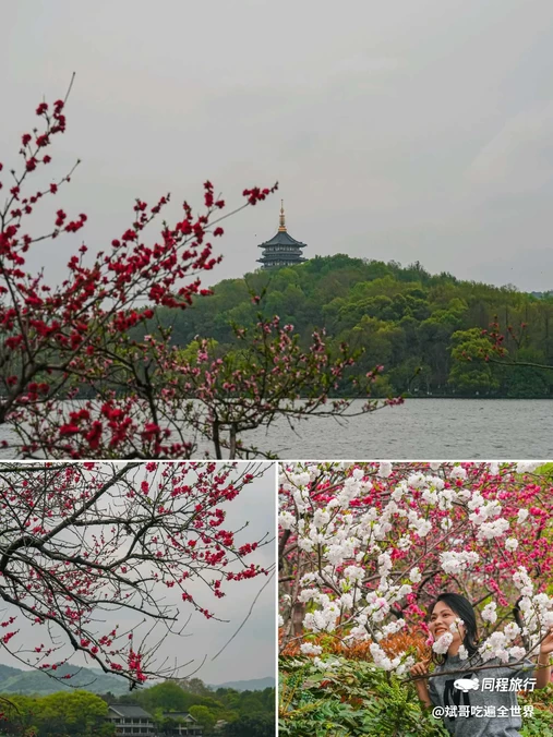 苏堤 - 杭州市旅游