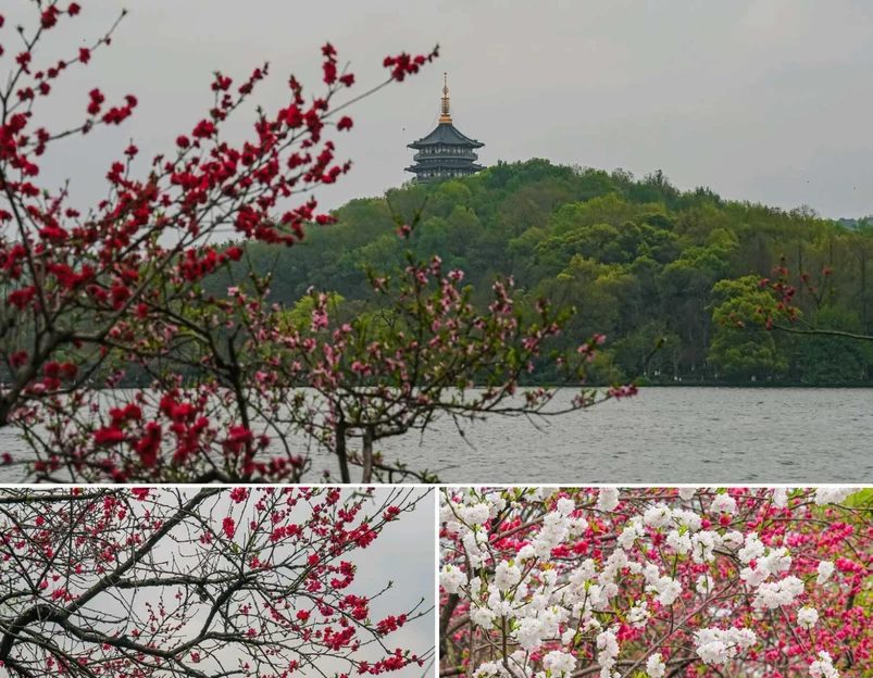 苏堤 - 杭州市旅游 1