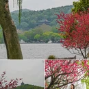 苏堤 - 杭州市旅游 缩略图 7