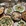 武汉市·O'eat Viaggio西餐厅(武商国广店)