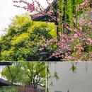 苏堤 - 杭州市旅游 缩略图 3