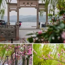 苏堤 - 杭州市旅游 缩略图 8