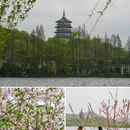 苏堤 - 杭州市旅游 缩略图 5