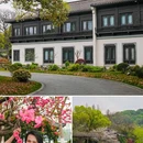 苏堤 - 杭州市旅游 缩略图 3