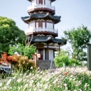 黄家溪村 - 苏州市旅游 缩略图 6