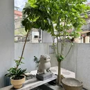 空山新雨 - 珠海市旅游 缩略图 8