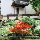 越城区府山公园 - 绍兴市旅游 缩略图 9