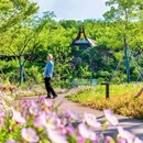 黄龙山矿址公园 - 无锡市旅游 缩略图 5