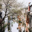 仓桥直街历史街区 - 绍兴市旅游 缩略图 9